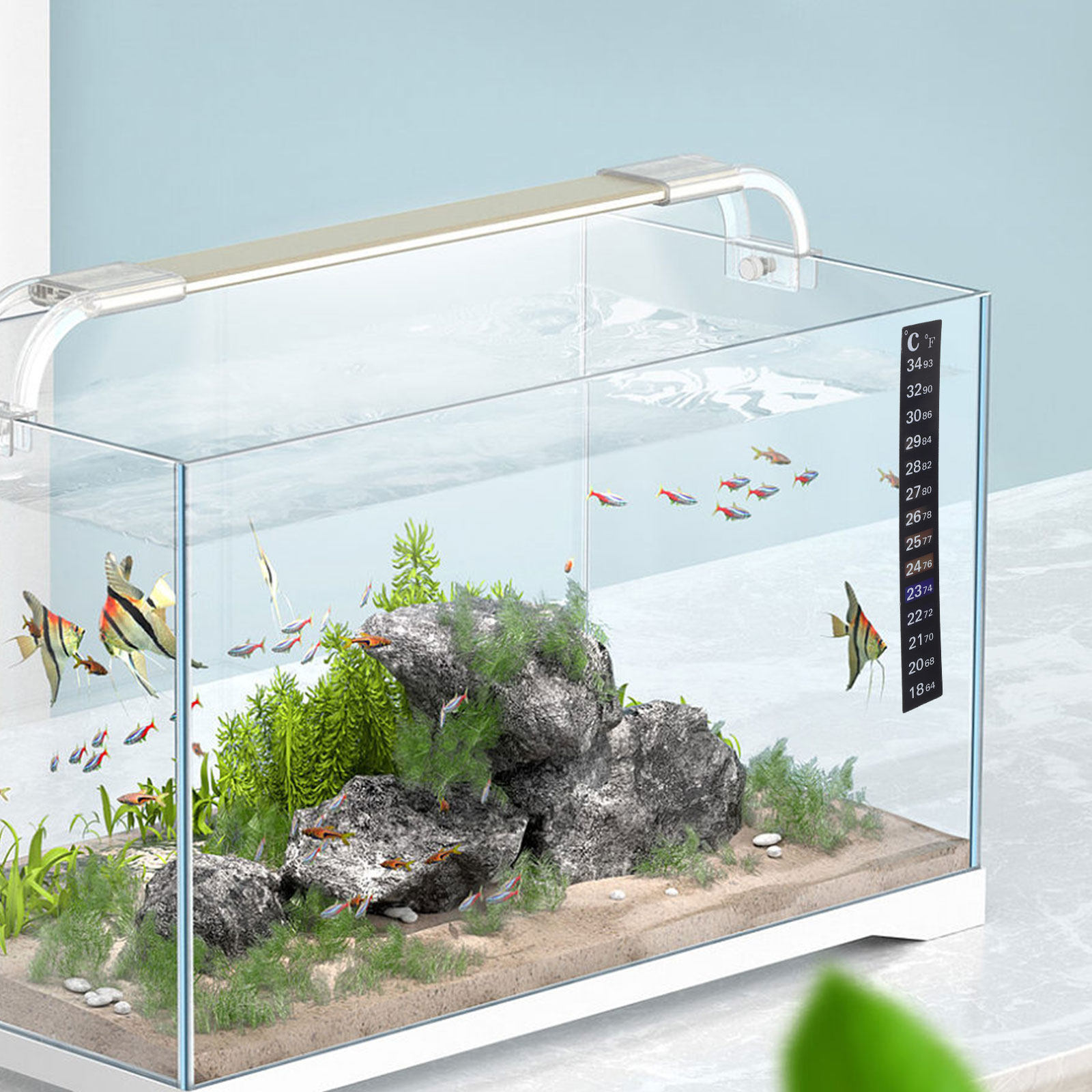 2枚入り水槽用温度計ストリップ、色が変わる正確な魚の温度測定 - Temperature Strip Thermometer のレビューと価格